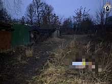 34-летнюю женщину задушили у дома в Нижегородской области