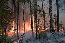 Лесной пожар угрожает зданиям на Валаамском архипелаге, акваторию островов закрыли для судов