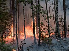 Лесной пожар угрожает зданиям на Валаамском архипелаге, акваторию островов закрыли для судов