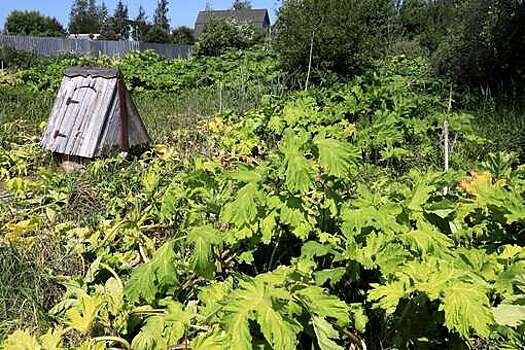 Депутат Чаплин: россияне теперь рискуют потерять свой земельный участок