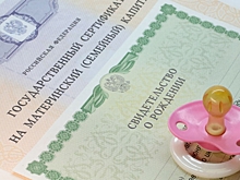 Реализация права получения выплат из маткапитала в Курской области