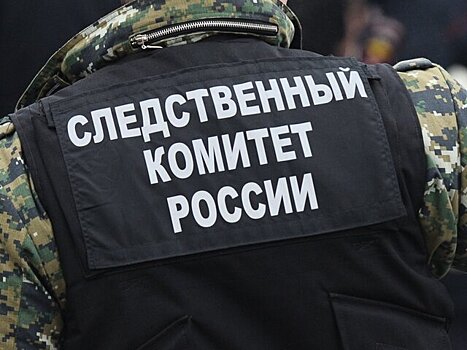 Глава СК Бастрыкин поручил создать во всех регионах специальные подразделения по преступлениям в сфере миграции