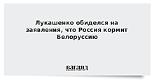 Лукашенко обиделся на заявления, что Москва кормит Минск