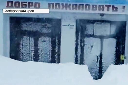 Весенняя снежная буря обрушилась на российское село и попала на видео