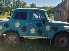 В Сочи продают забавную самоделку на базе УАЗ-469