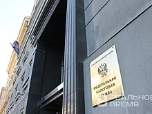 В ФНС России разделили опасения по поводу ухода частных водителей в тень