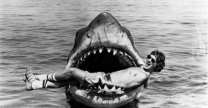Британский дайвер сфотографировал акулу из фильма «Челюсти»