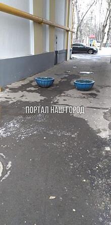 Коммунальщики восстановили вазоны во дворе на Саратовской