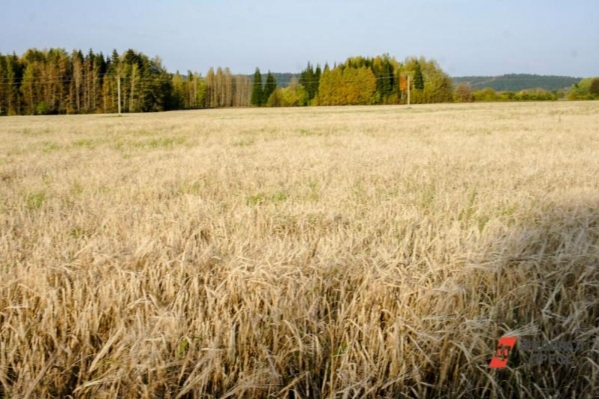 В Новороссийске исключили земли сельхозназначения из черты города
