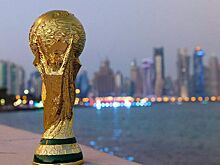 Во Франции задержали водителя, сбившего подростка после матча ЧМ