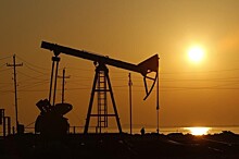 Добыча нефти в США в феврале выросла на 0,3% — до 16,38 млн баррелей в сутки