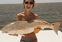Рыбы-лифчики стали главным трендом в Instagram