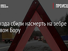 Пешехода сбили насмерть на зебре в Сосновом Бору