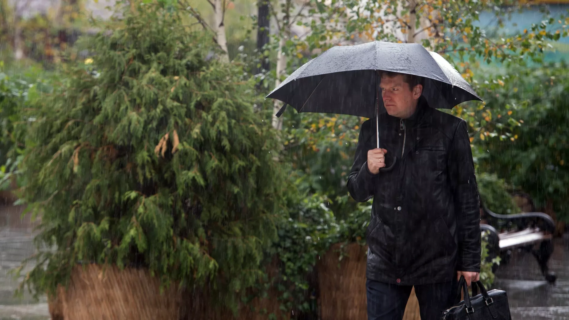 В Гидрометцентре заявили о самом холодном июле в XXI веке