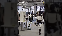 Tesla показала офис, забитый человекоподобными роботами