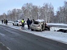 В Новосибирской области начали строить подстанцию для крупнейшего сырного завода в Сибири
