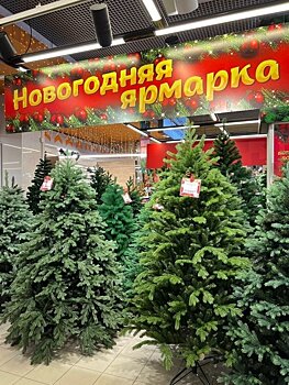 Новогодняя ярмарка в «Глобусе»
