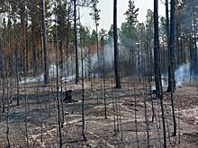 «Забайкалье в огне»: четыре пожара действуют в регионе