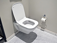 В Сибири ищут испытателя унитазов с большим весом