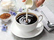 Диетолог Сюракшина: цикорий поможет улучшить метаболизм