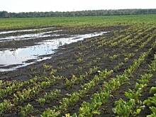 Первые летние дожди могут стать причиной введения в Чувашии режима ЧС