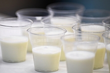 Названа опасная для человека доза молочных продуктов
