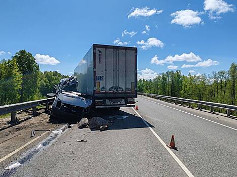 Водитель микроавтобуса погиб в ДТП на трассе М3