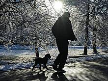 Москвичам рассказали о погодном новогоднем чуде