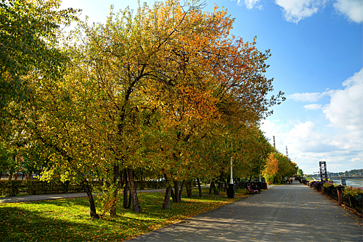 Тепло до +22°C и кратковременные дожди: синоптики дали прогноз на понедельник в Кузбассе