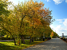 Тепло до +22°C и кратковременные дожди: синоптики дали прогноз на понедельник в Кузбассе