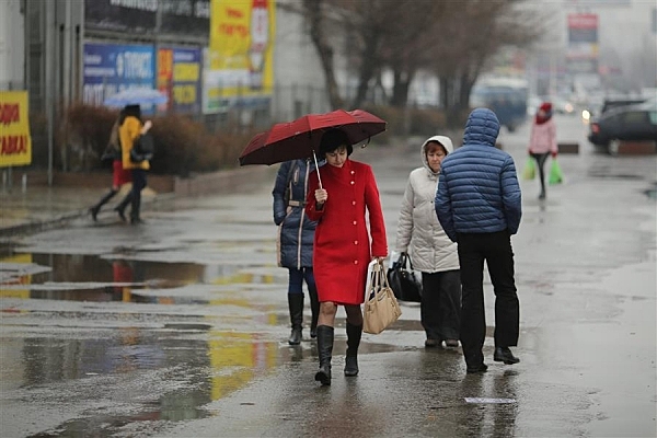 В Волгоградской области ожидаются дожди и ветер до 23 м/с