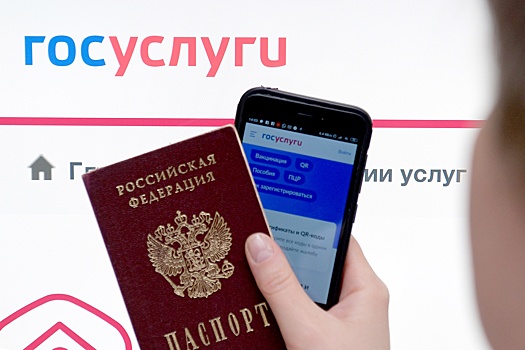 Депутаты предложили разрешить предъявлять полиции паспорт в электронном виде