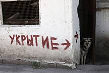 Губернатор Севастополя рассказал о проведенном времени в бомбоубежище
