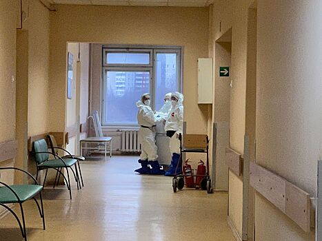 Врач Савченко назвала бактерию, которая может привести к раку желудка