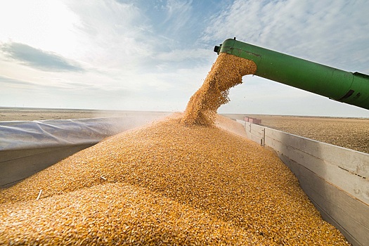 В "Прозерно" спрогнозировали урожай зерна в новых регионах на уровне 4,7 млн тонн