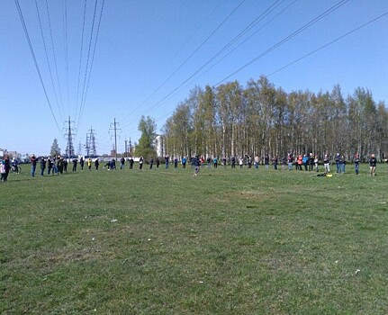 Петербуржцы выстроились в «живой щит» против застройки зеленой зоны Муринского парка
