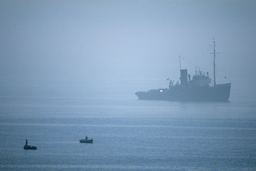 Стала известна причина пожара на траулере в Охотском море