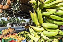 Без цветов и бананов: как повлияет конфликт в Эквадоре на импорт товаров в РФ