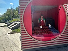 В районе Зюзино заработали три точки продажи свежих сезонных ягод