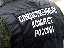 Педофил выбил зубы ребенку во время изнасилования в Омской области