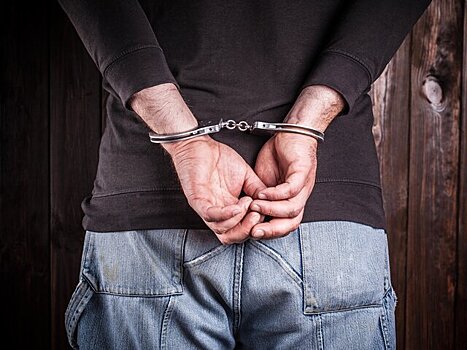 Суд в Москве арестовал россиянина за госизмену