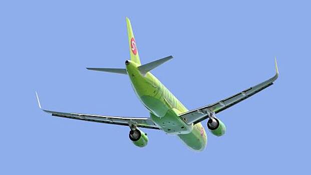 В Челябинске самолёт «S7 Airlines» столкнулся с птицей