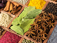 Перечислены специи с противораковым эффектом