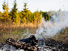 Лесные пожары в Турции взяты под контроль