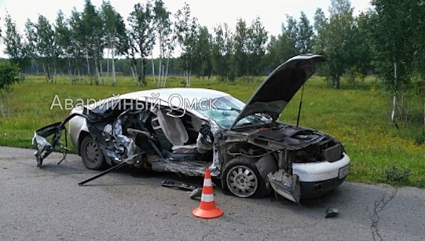 На окраине Омска разбилась иномарка Audi
