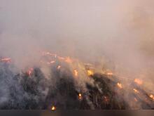 Жителя Забайкалья оштрафовали на 5 млн рублей за пожар после брошенного окурка