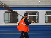 "Фонтанка": экс-разработчик Microsoft из Индии стал дворником в Питере