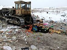 В Красноярске вновь уничтожили полтонны польских яблок
