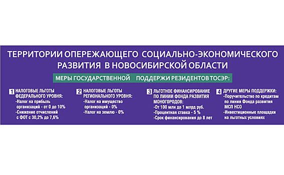 Два моногорода Новосибирской области должны потерять этот статус к 2025 году