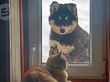 Глава района в Удмуртии объяснил селянам, почему у них дома холодно зимой